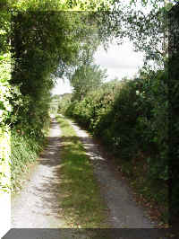 mvc-197s.jpg (248773 bytes)