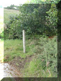 mvc-200s.jpg (275758 bytes)