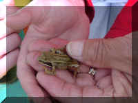 mvc-206s.jpg (36411 bytes)