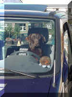 mvc-238s.jpg (167319 bytes)