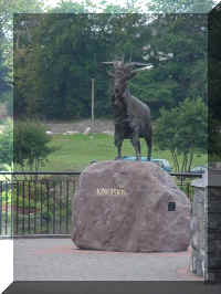 mvc-245s.jpg (54090 bytes)