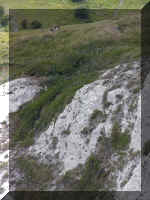 mvc-250s.jpg (66810 bytes)