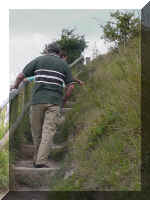 mvc-256s.jpg (61851 bytes)