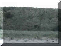 mvc-272s.jpg (41155 bytes)